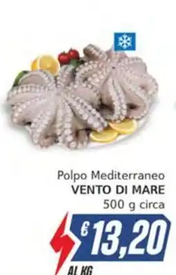 Italy Cash Polpo Mediterraneo VENTO DI MARE offerta