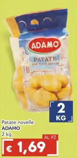 Italy Cash Patate novelle ADAMO offerta