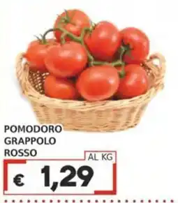 Italy Cash POMODORO GRAPPOLO ROSSO offerta