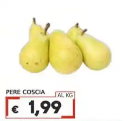 Italy Cash Pere Coscia offerta
