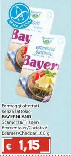 Italy Cash Formaggi affettati senza lattosio BAYERNLAND offerta