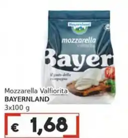 Italy Cash Mozzarella Valfiorita BAYERNLAND offerta