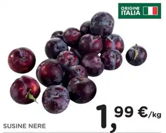 SUSINE NERE