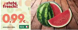 Orvea ANGURIA MINI offerta