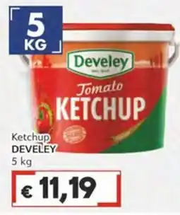 Italy Cash Ketchup Develey offerta