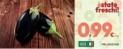 Orvea Melanzane offerta