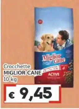 Italy Cash Crocchette MIGLIOR CANE ACTIVE offerta