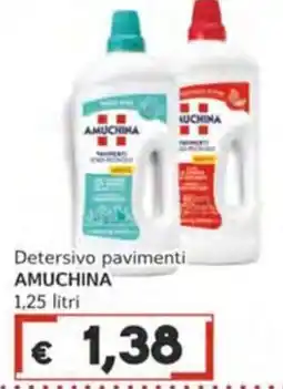 Italy Cash Detersivo pavimenti AMUCHINA offerta
