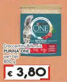 Italy Cash Croccantini Bifensis PURINA ONE offerta