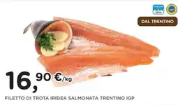 Orvea FILETTO DI TROTA IRIDEA SALMONATA TRENTINO IGP offerta