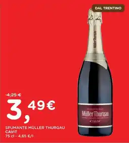 Orvea SPUMANTE MÜLLER THURGAU CAVIT offerta