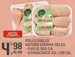 Supermercati Dok POLLO GIALLO Natura Chiama SELEX offerta