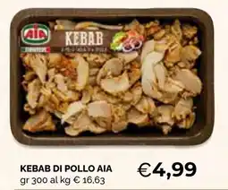 Mercatò Big Kebab di pollo aia offerta