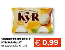 Mercatò Big YOGURT PAPPA REALE KYR offerta