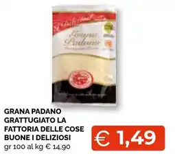 Mercatò Big Grana Padano Grattugiato La Fattoria Delle Cose Buone I Deliziosi offerta
