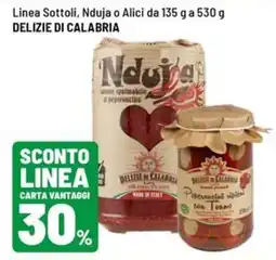 Iper La Grande Sottoli, Nduja o Alici DELIZIE DI CALABRIA offerta