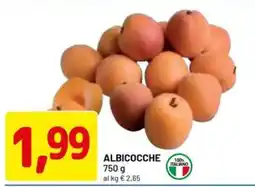 DPiù ALBICOCCHE offerta