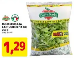 DPiù Cuor di Scelta Lattughino Maxxi offerta