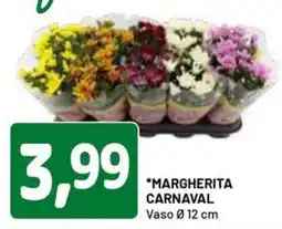 DPiù *MARGHERITA CARNAVAL offerta
