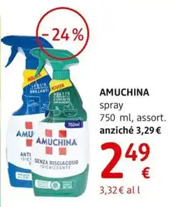 dm drogerie markt AMUCHINA spray offerta