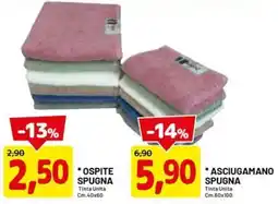 DPiù OSPITE SPUGNA offerta