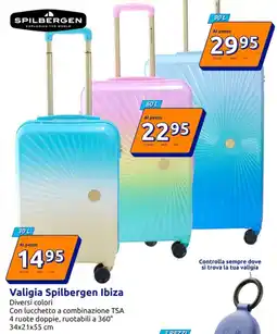 Action Valigia Spilbergen Ibiza offerta