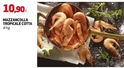 Ipercoop MAZZANCOLLA TROPICALE COTTA offerta