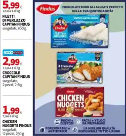 Ipercoop FILETTI DI MERLUZZO CAPITAN FINDUS offerta