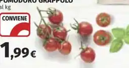 Ipercoop POMODORO GRAPPOLO offerta