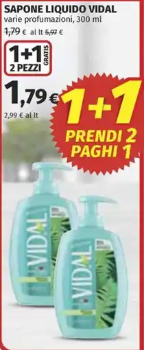 Ipercoop Sapone liquido Vidal offerta