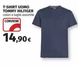 Ipercoop T-SHIRT UOMO TOMMY HILFIGER offerta