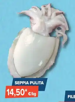 Sapore di Mare SEPPIA PULITA offerta
