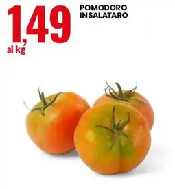 Eurospin POMODORO INSALATARO offerta