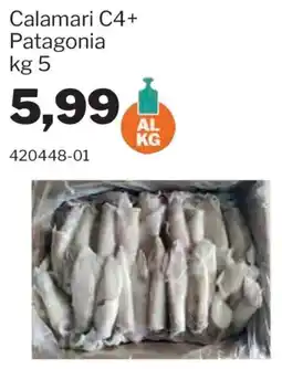 GrosMarket Calamari C4+ Patagonia offerta