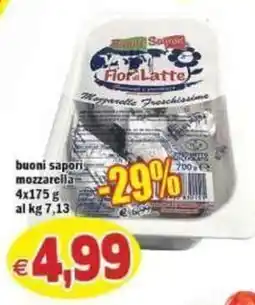 Il Castoro Supermercati Fior di Latte Mozzarella Freschissime offerta