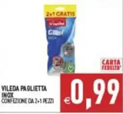Supermercati Agorà VILEDA PAGLIETTA INOX offerta