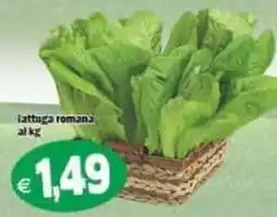 Il Castoro Supermercati lattuga romana offerta