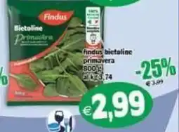 Il Castoro Supermercati findus bictoline primavera offerta