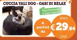 ZooPlanet CUCCIA YALI DOG offerta