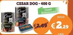 ZooPlanet CESAR DOG offerta
