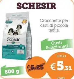 ZooPlanet Schesisir Small Puppy offerta