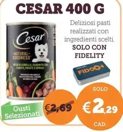 ZooPlanet Cesar offerta