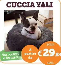 ZooPlanet CUCCIA YALI offerta