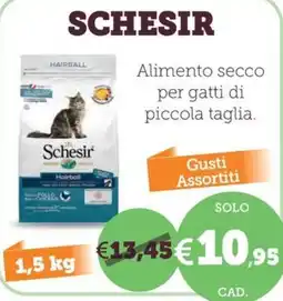 ZooPlanet Schesir Hairball offerta