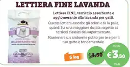 ZooPlanet Lettiera Fine Lavanda offerta