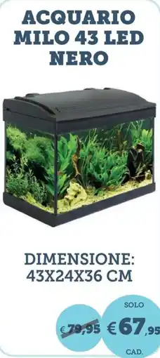 ZooPlanet ACQUARIO MILO 43 LED NERO offerta