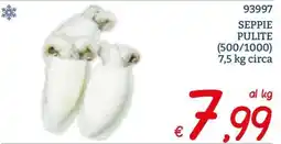 Zona SEPPIE PULITE offerta