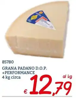 Zona GRANA PADANO D.O.P. +PERFORMANCE offerta