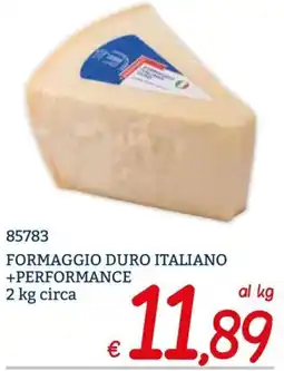 Zona FORMAGGIO DURO ITALIANO +PERFORMANCE offerta