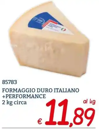 Zona FORMAGGIO DURO ITALIANO +PERFORMANCE offerta